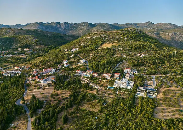 Hedera Estate Hedera Xxi *